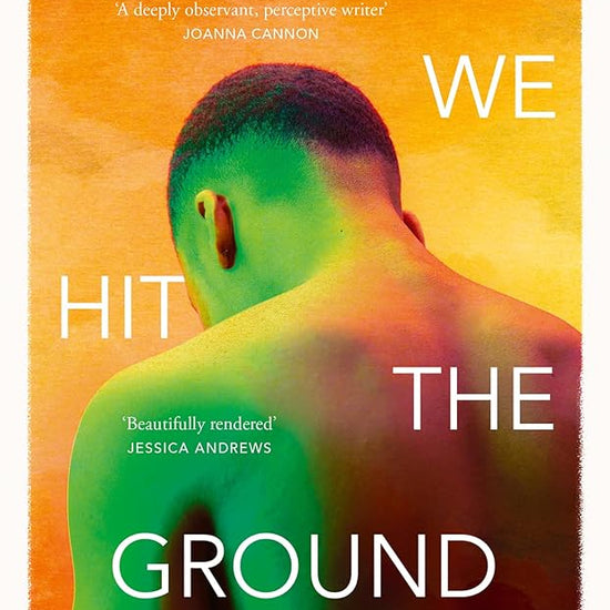 Before We Hit the Ground: A powerful new literary novel for fans of Open Water and Transcendent Kingdom cover image