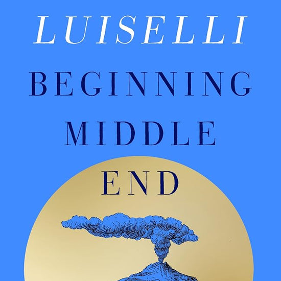 Beginning Middle End: the hotly anticipated new novel from the Booker Prize-longlisted author of Lost Children Archive cover image