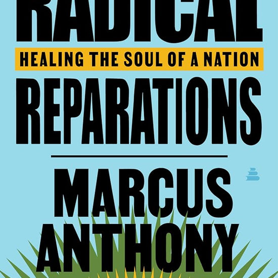 Radical Reparations: Healing the Soul of a Nation cover image