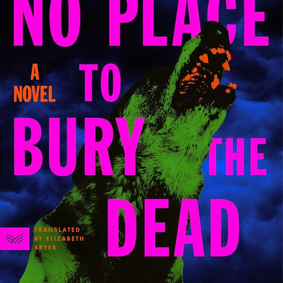 No Place to Bury the Dead: A Novel cover image