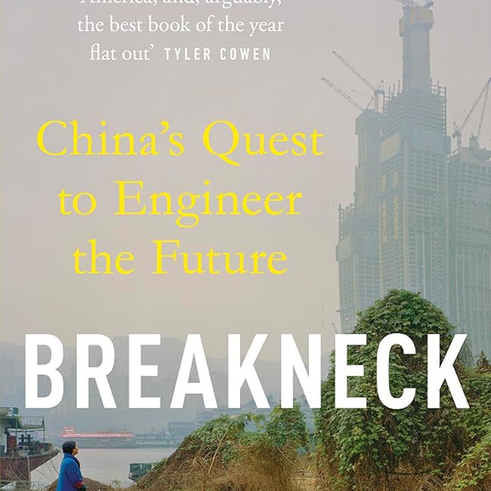 Breakneck: China's Quest to Engineer the Future cover image