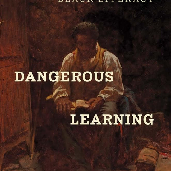 Dangerous Learning: The South's Long War on Black Literacy cover image