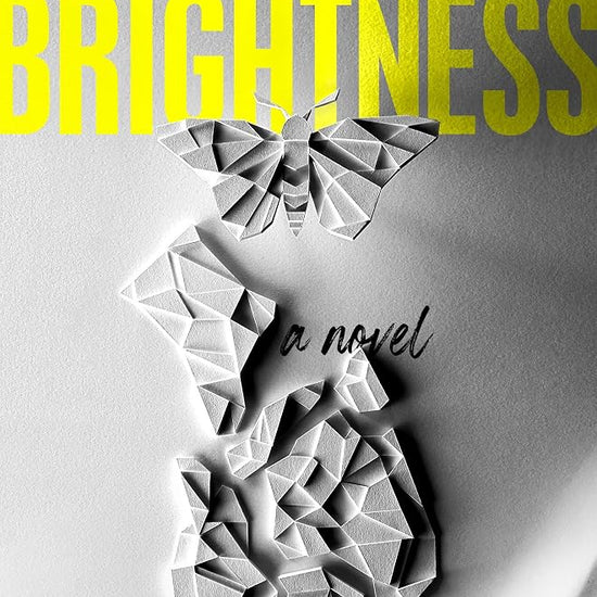 This Moth Saw Brightness cover image