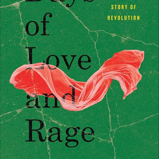 Days of Love and Rage: A Story of Revolution cover image