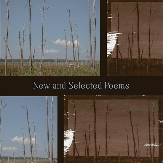 The Ghost Forest: New and Selected Poems cover image