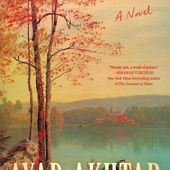 The Radiance: 'Simply put, a work of genius' Abraham Verghese cover image