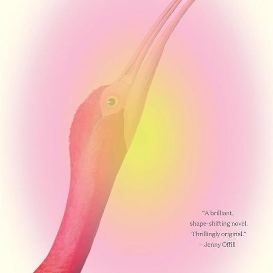 Ibis: A Novel cover image
