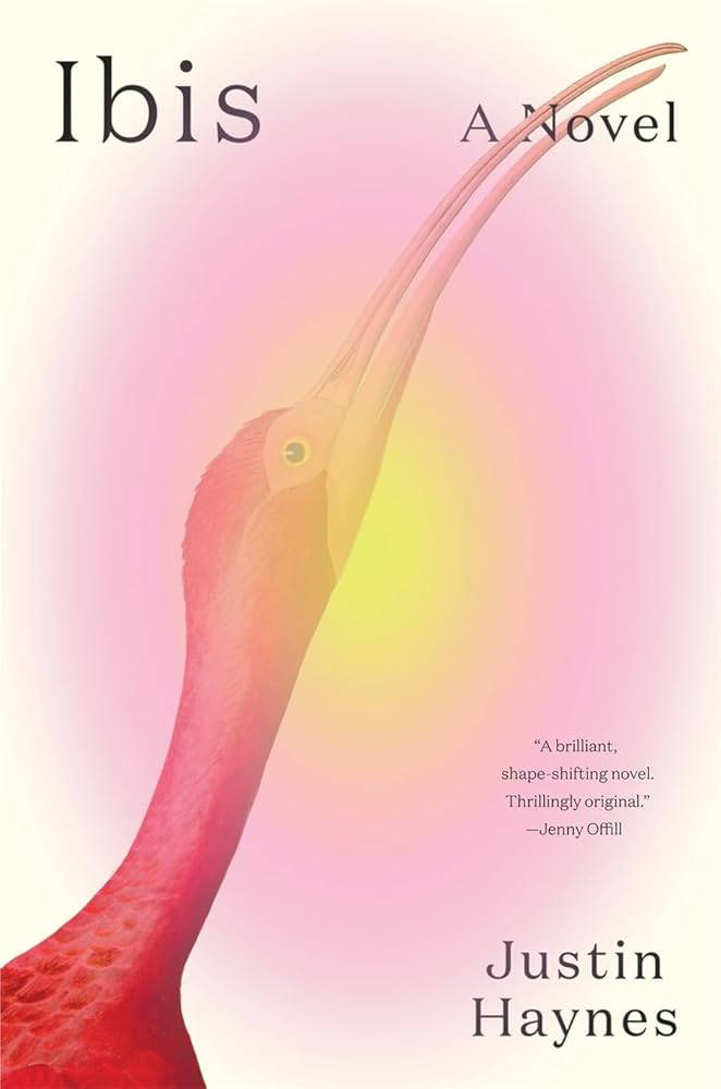 Ibis: A Novel cover image