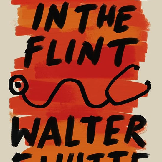 The Fire in the Flint (Herald Classics) cover image