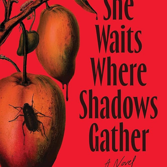 She Waits Where Shadows Gather: A Novel cover image