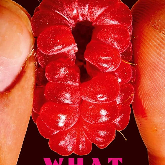 What Hunger cover image