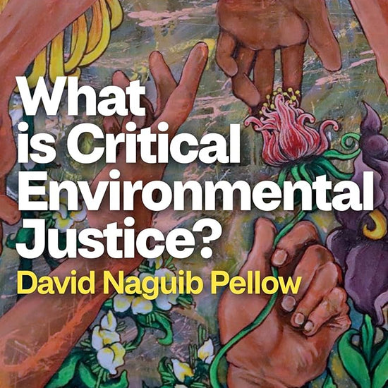 What is Critical Environmental Justice? cover image