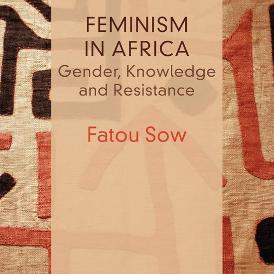 Feminism in Africa: Gender, Knowledge and Resistance (Critical South) cover image