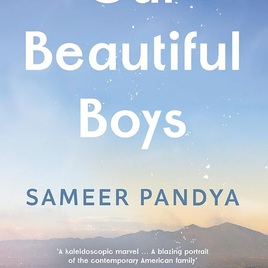 Our Beautiful Boys cover image