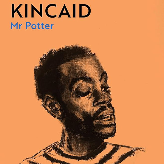 Mr Potter (Picador Collection) cover image