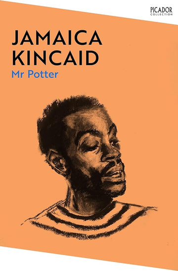 Mr Potter (Picador Collection) cover image