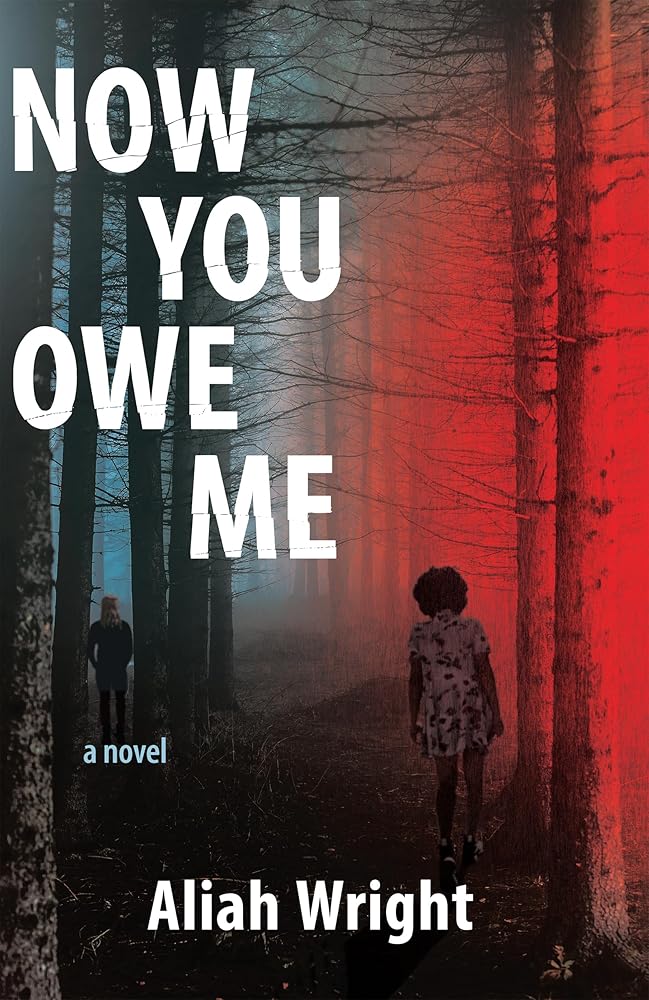 Now You Owe Me cover image