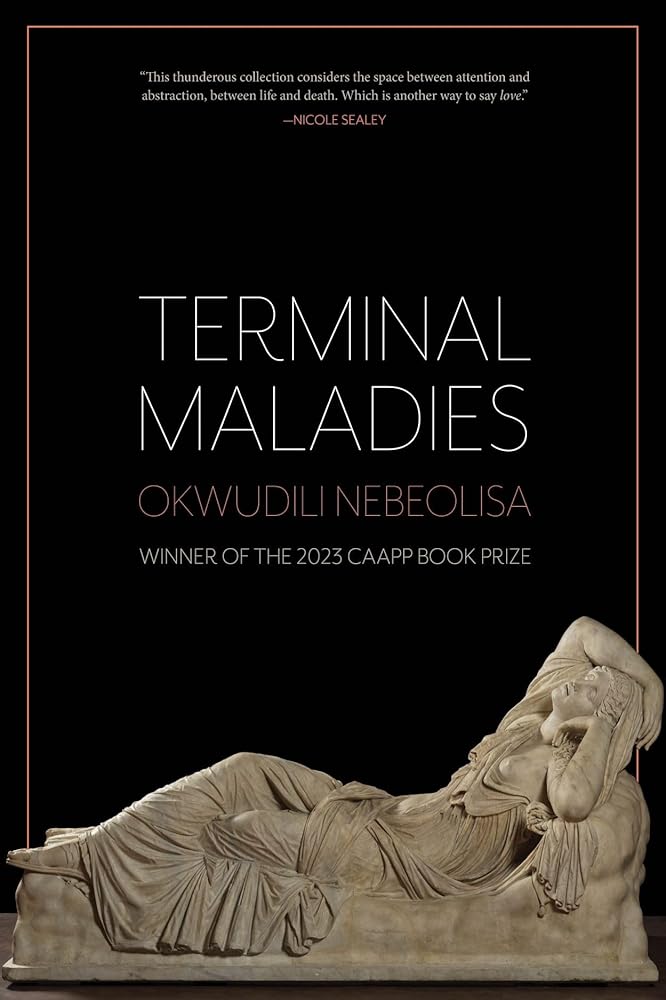 Terminal Maladies (CAAPP Book Prize) cover image