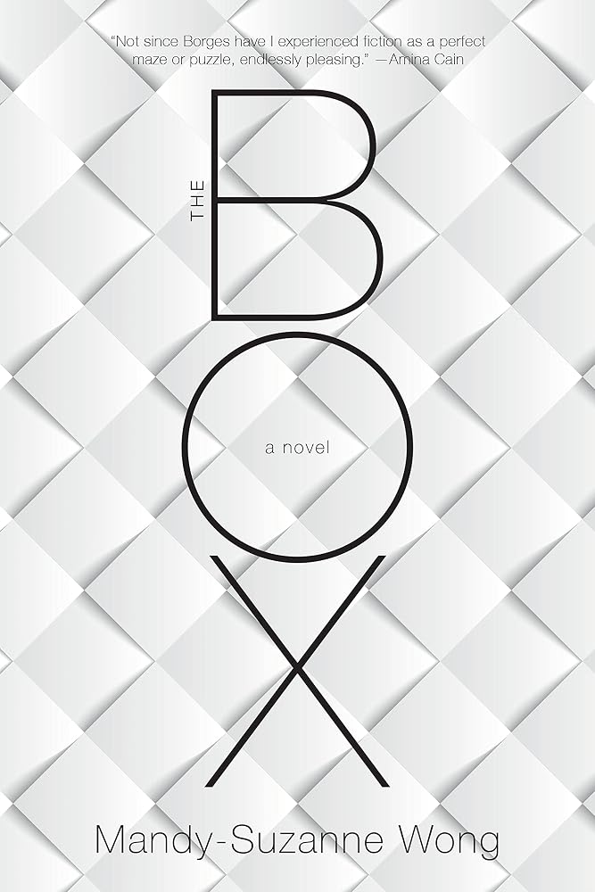 The Box: A Novel cover image