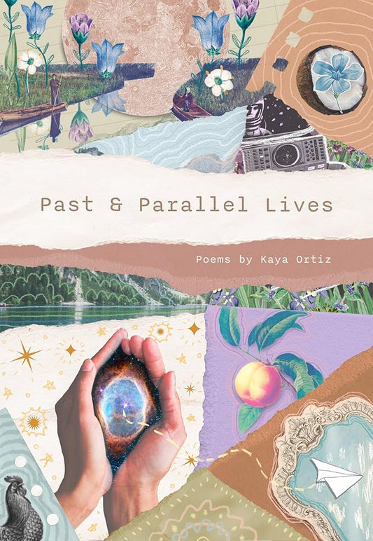 Past & Parallel Lives cover image