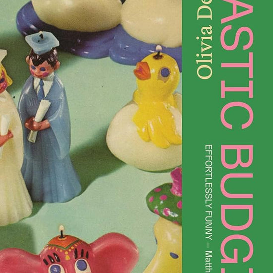 Plastic Budgie cover image