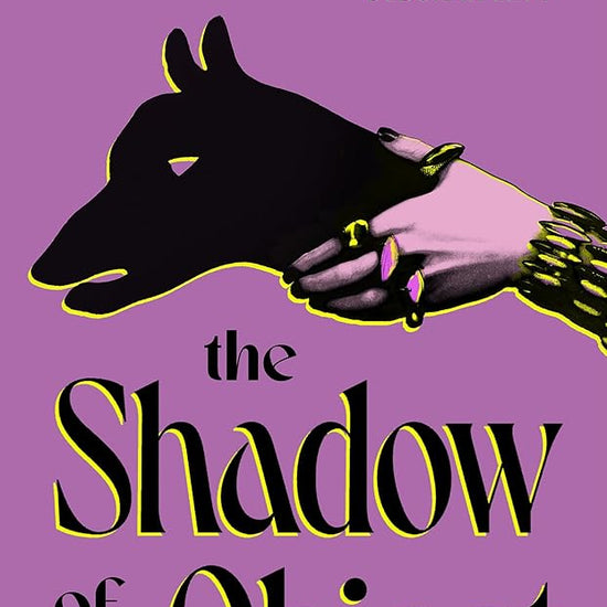 The Shadow of the Object cover image