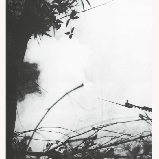 The Sorrow of War (Against War) cover image