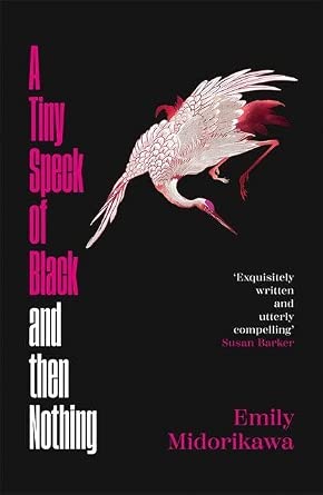 A Tiny Speck of Black and Then Nothing: Winner of the Lucy Cavendish Prize for Fiction cover image