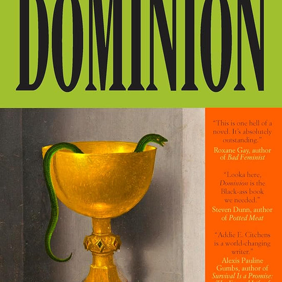 Dominion: A Novel cover image