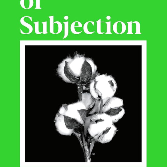 Scenes of Subjection: Terror, Slavery and Self-Making in Nineteenth Century America cover image