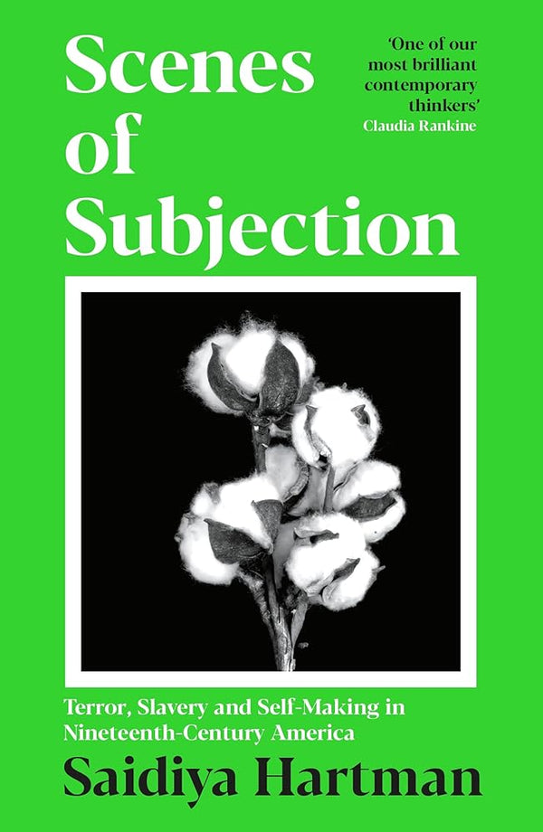 Scenes of Subjection: Terror, Slavery and Self-Making in Nineteenth Century America cover image