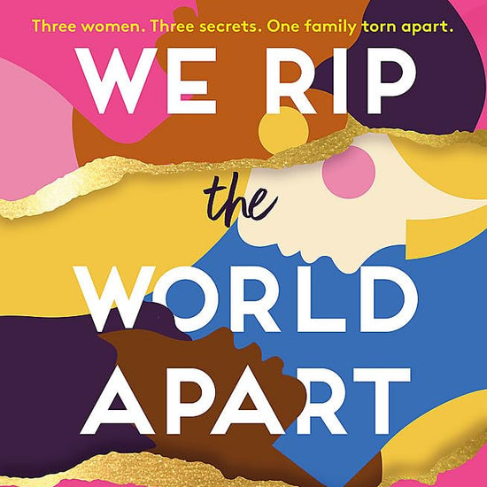 We Rip the World Apart: A sweeping story about motherhood, race and secrets cover image