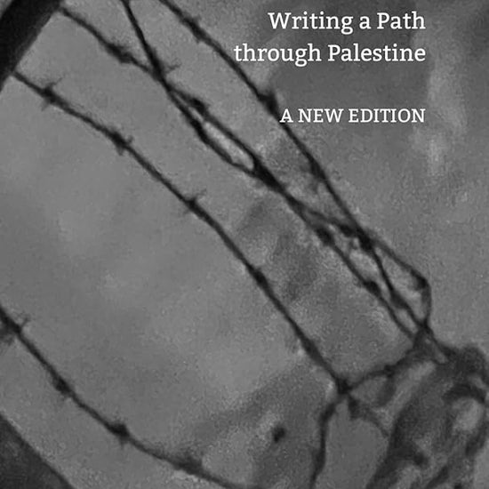 Beyond the Wall: Writing a Path through Palestine (Manifestos for the 21st Century) cover image