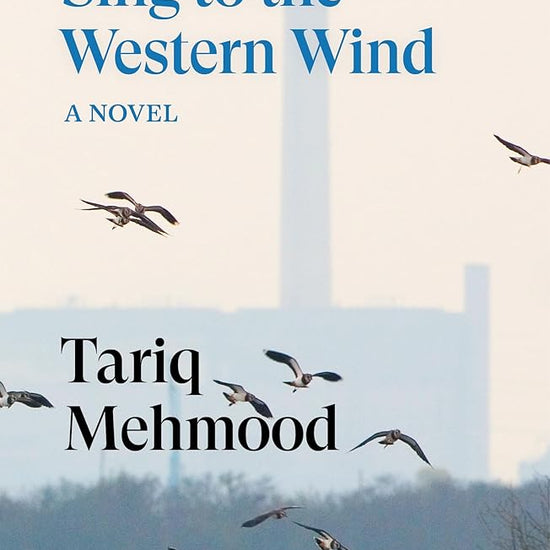 Sing to the Western Wind: A Novel cover image