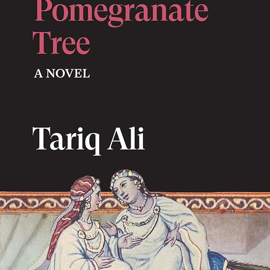 Shadows of the Pomegranate Tree: A Novel cover image