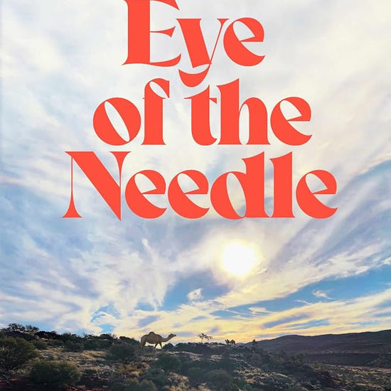 Eye of the Needle cover image