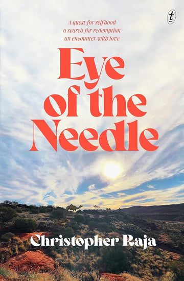 Eye of the Needle cover image
