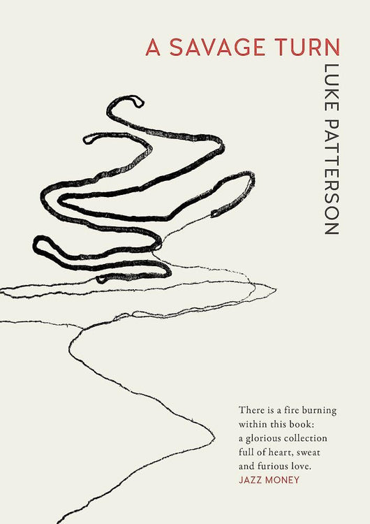 A Savage Turn cover image