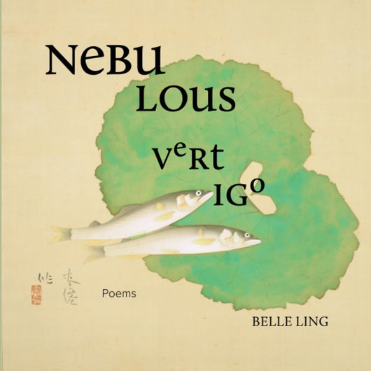 Nebulous Vertigo cover image