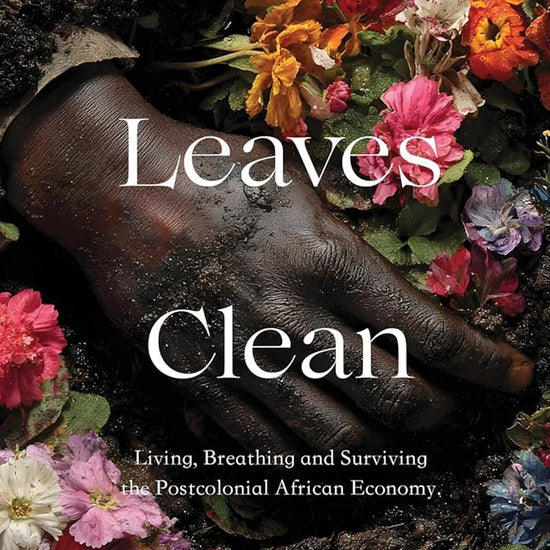 No One Leaves Clean: Living, Breathing and Surviving the Postcolonial African Economy. cover image