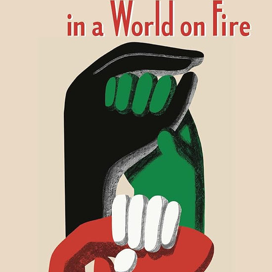 Palestine in a World on Fire cover image