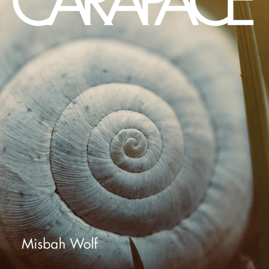 This image features the cover of "Carapace" by Misbah Wolf, published by Vagabond Press. The cover design is striking, showcasing a close-up photograph of a snail shell with intricate details.