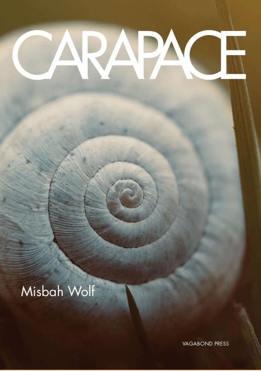 This image features the cover of "Carapace" by Misbah Wolf, published by Vagabond Press. The cover design is striking, showcasing a close-up photograph of a snail shell with intricate details.