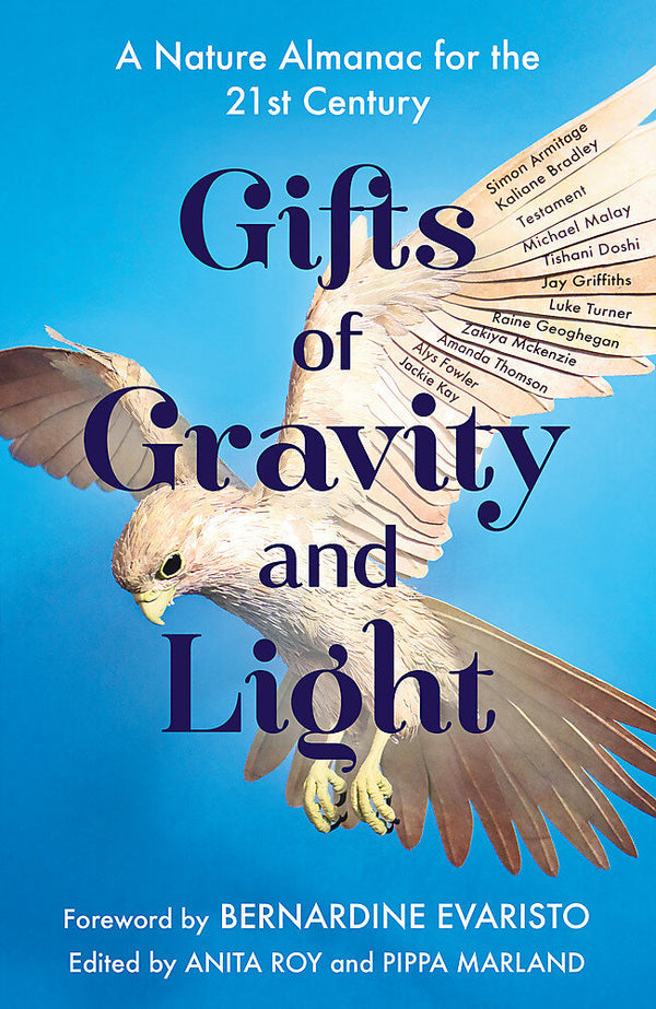 Gifts of Gravity and Light
