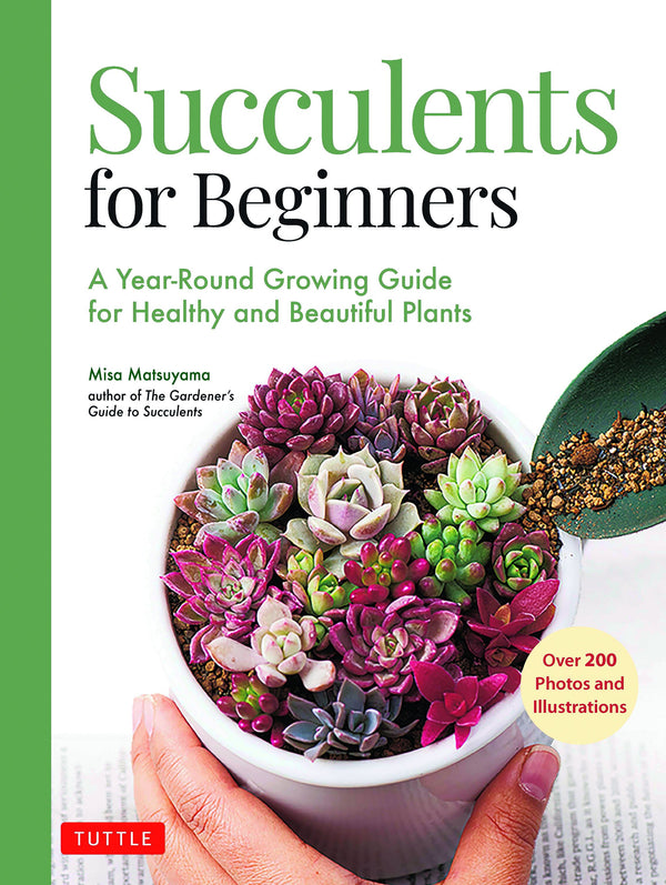 Succulents for Beginners
