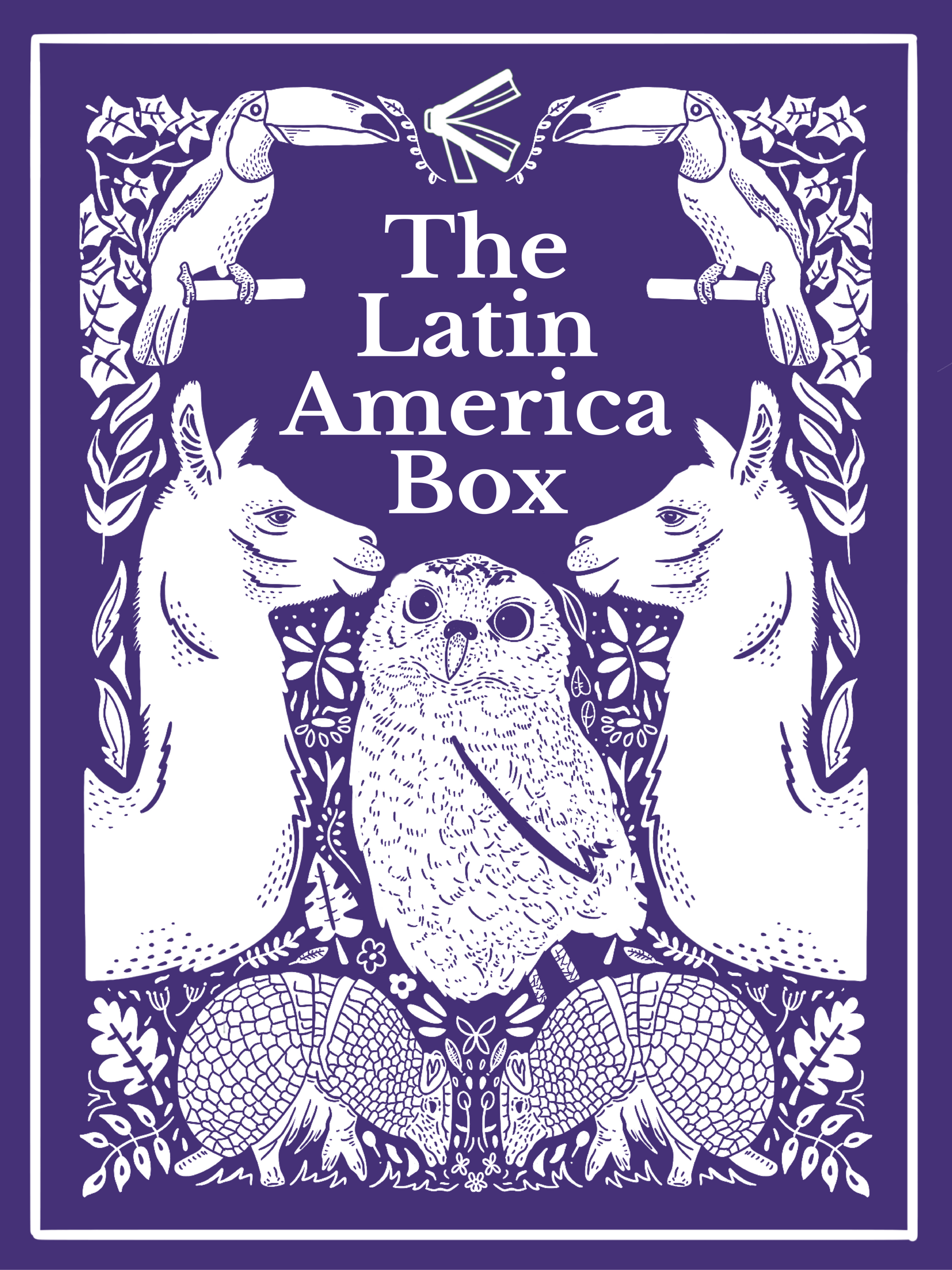 The image features the cover of "The Latin America Box," a book box curated by Amplify Bookstore that includes a collection of three books by BIPOC authors from Latin America.