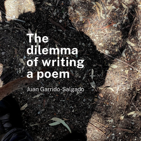 The image shows a close-up of a person's shadow on the ground with the title 'The Dilemma of Writing a Poem' and the author's name 'Juan Garrido Salgado' overlaid on top.