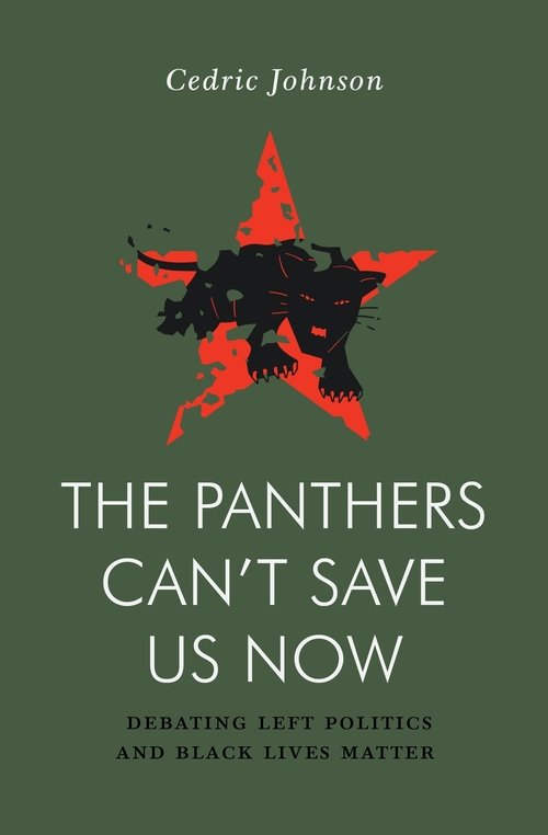 The Panthers Can't Save Us Now
